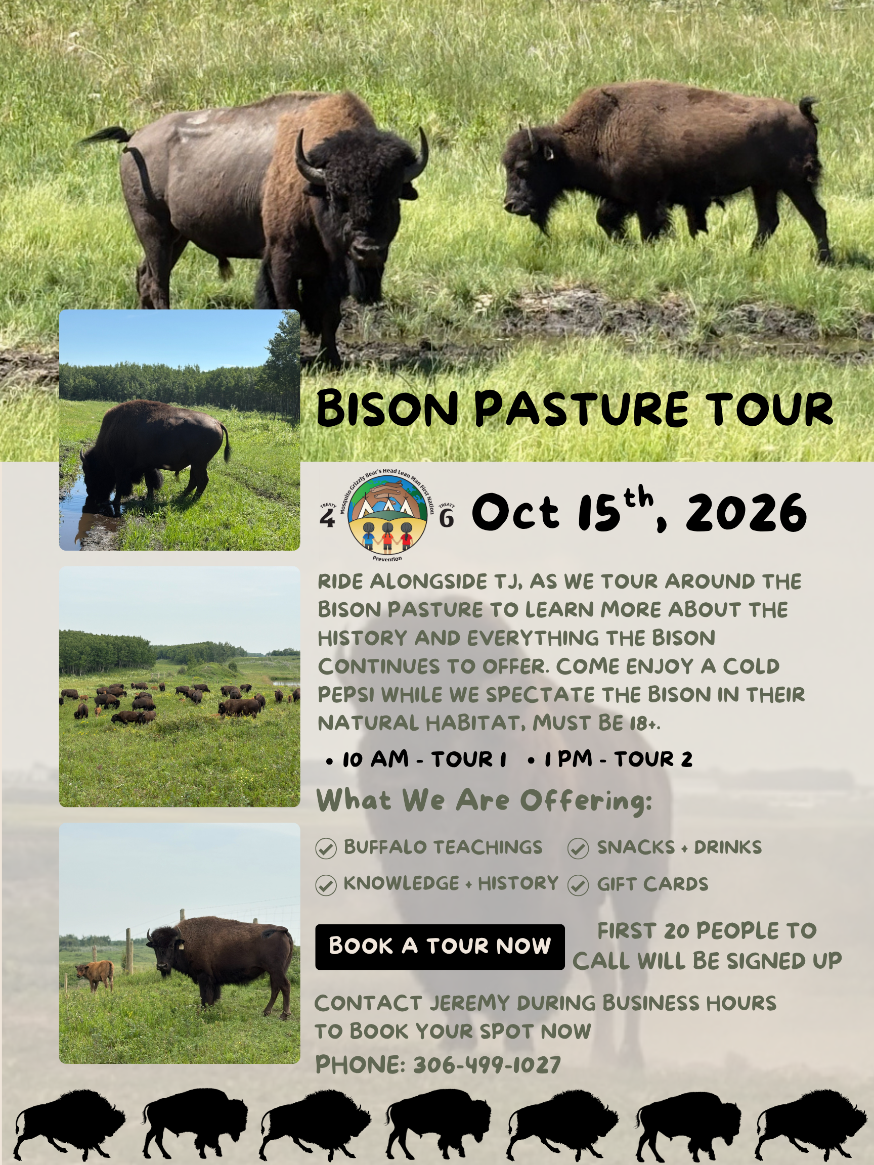 BISON PASTURE TOUR — CONNECT WITH THE LAND, HISTORY & TEACHINGS