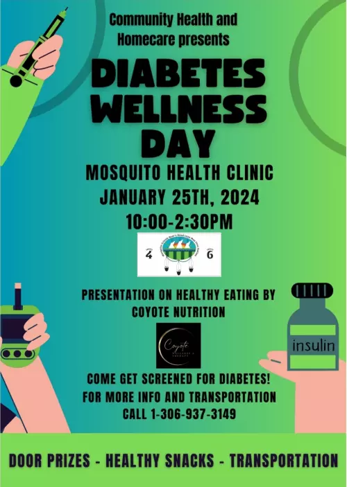 DIABETES WELLNESS DAY